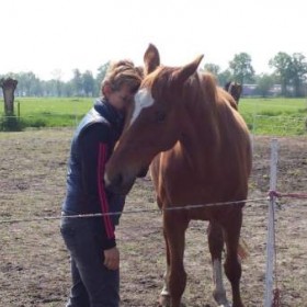 Puurmeij-coaching-met-paarden-sfeerbeelden-028