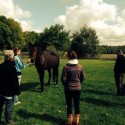 Puurmeij-coaching-met-paarden-sfeerbeelden-026
