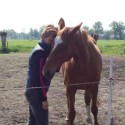 Puurmeij-coaching-met-paarden-sfeerbeelden-028
